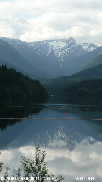 Lower Seymour Conservation Reserve