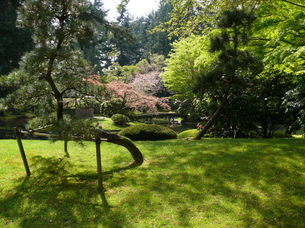 Nitobe Memorial Garden