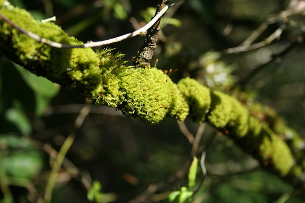 Richmond Nature Park