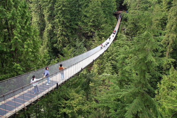 Capilano Suspension Bridge (Puente colgante de Capilano)