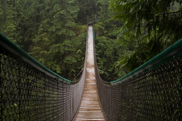 Lynn Canyon Park (Parque del  Cañón Lynn)