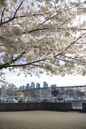 Aseos públicos en Vancouver