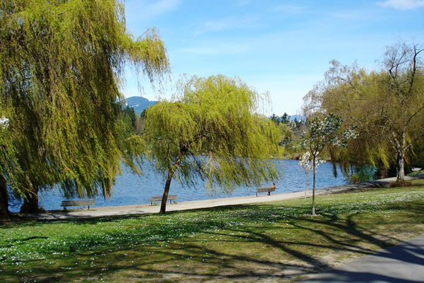 Datos de Vancouver - Clima y Idiomas de Vancouver, Demografía de Vancouver, Geografía y historia de Vancouver