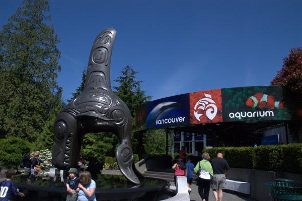 Vancouver Aquarium - Acuario de Vancouver