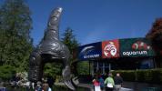 Vancouver Aquarium - Acuario de Vancouver